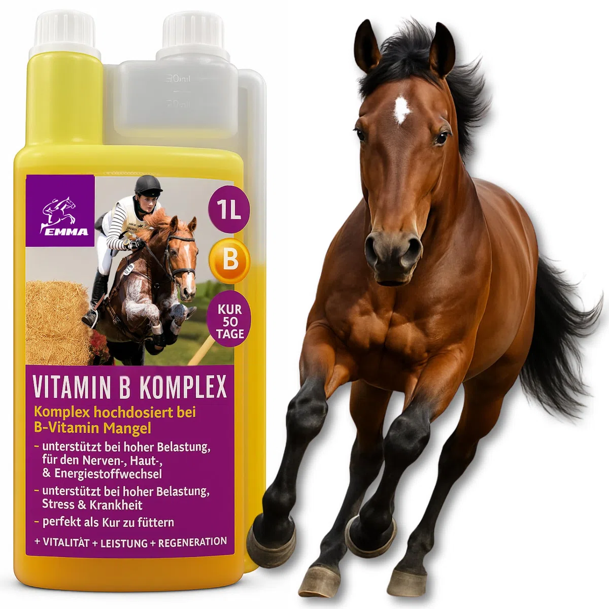Vitamine B Complexe Cheval 1L Vitamine B hautement dosée pour Chevaux avec vitamines B1 B2 B6 B12 vitamines B I VIT b Complex Soutien de la Musculature du système immunitaire du métabolisme nerveux